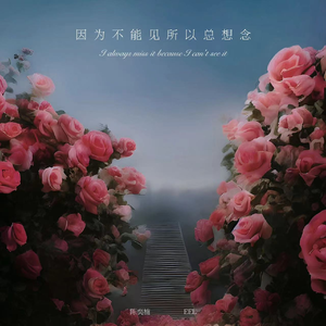 小黄片免费观看
