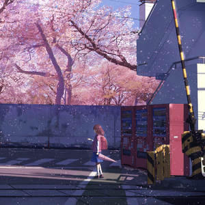 小黄片免费观看
